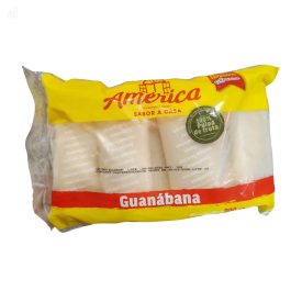 AMERICA – GUANÁBANA GYÜMÖLCSPÉP 10 × 90 g